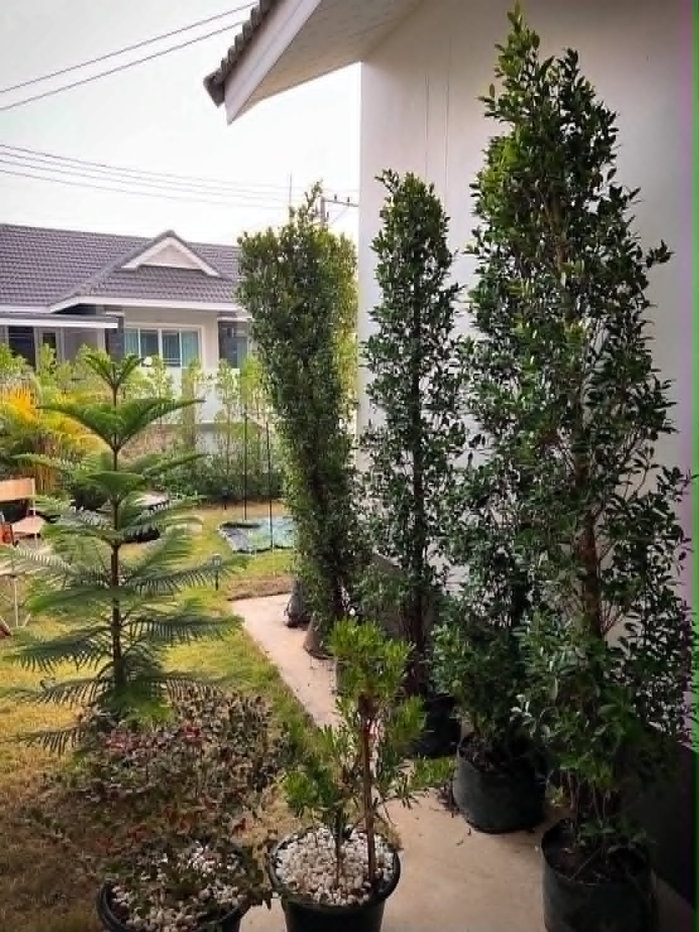 รูป 🎏ขายบ้านพร้อมอยู่ ชั้นเดียว สไตล์นอร์ดิก มินิมอล​​ พิกัด: หนองแก๋ว อ.หางดง จ.เชียงใหม่ - รูปที่ 15/18