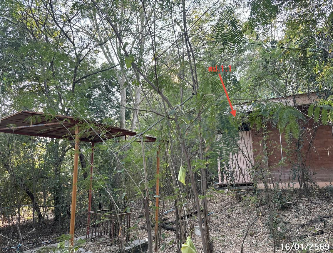 picture HOME 1200 Sq.w. Ban Mi Lopburi for 4.9M - 9/18