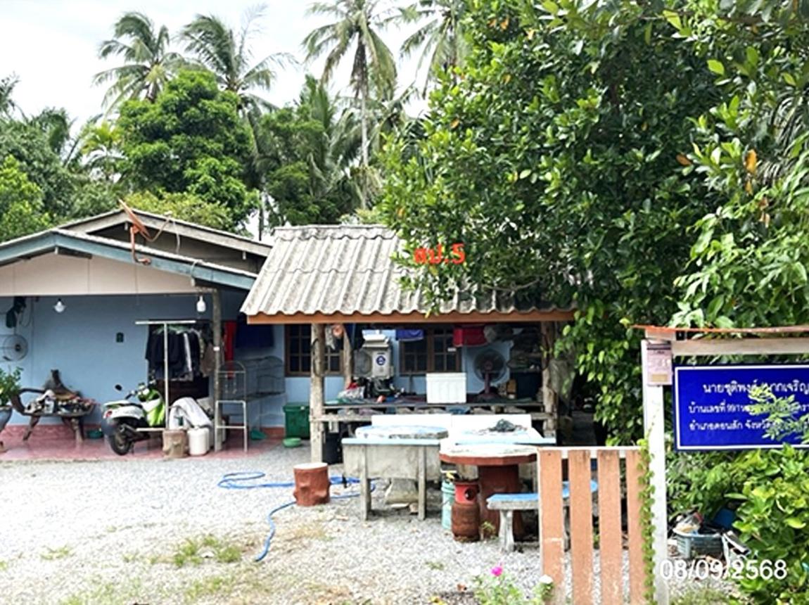 รูป บ้านเดี่ยว 320 ตร.วา ดอนสัก สุราษฎร์ธานี 1.5M - รูปที่ 11/16