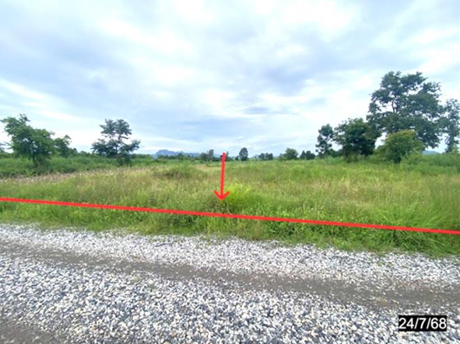 picture LAND 4569 Sq.w. Si Chomphu Khon Kaen for 1.6M - 1/12