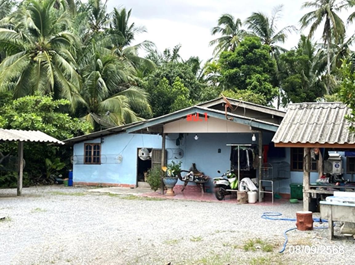 รูป บ้านเดี่ยว 320 ตร.วา ดอนสัก สุราษฎร์ธานี 1.5M - รูปที่ 8/16