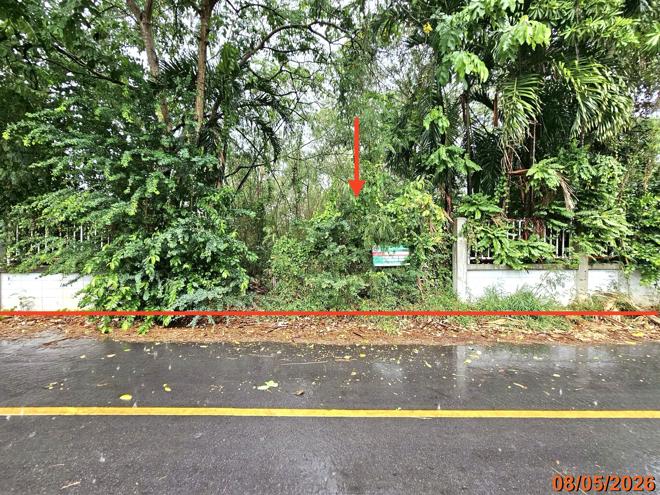 picture LAND 456 Sq.w. Sung Noen Nakhon Ratchasima for 4.1M - 1/14
