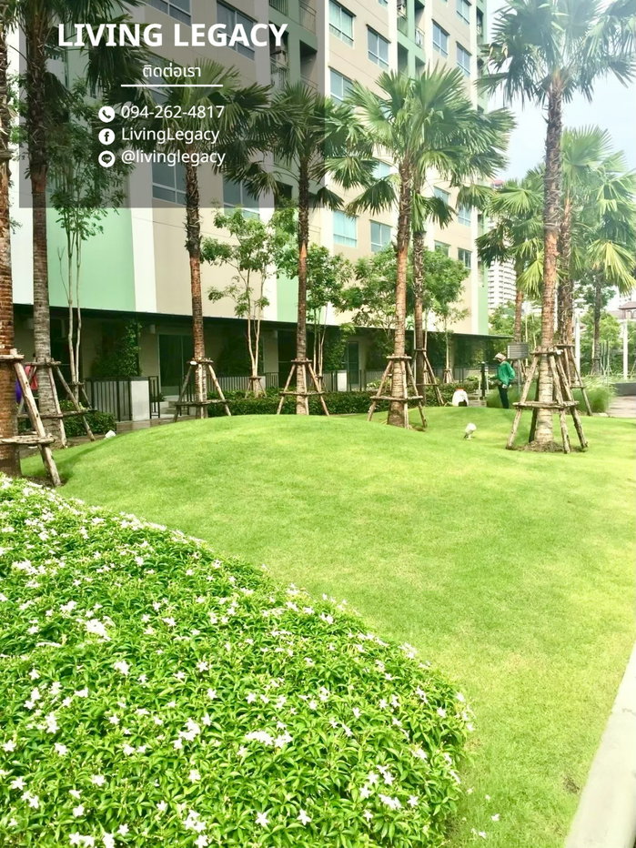 รูป TH4NTO เช่าด่วน คอนโด Lumpini Place Srinakarin 33 ตร.ม. | ชั้น 11 | 1 นอน 1 น้ำ | 13,000 บาท/เดือน | LINE: @livinglegacy - รูปที่ 18/19