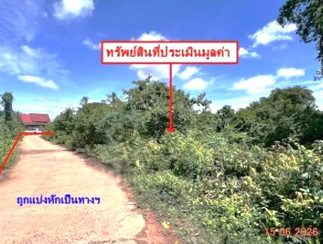 picture LAND 907 Sq.w. Bang Krathum Phitsanulok for 4.5M - 5/22