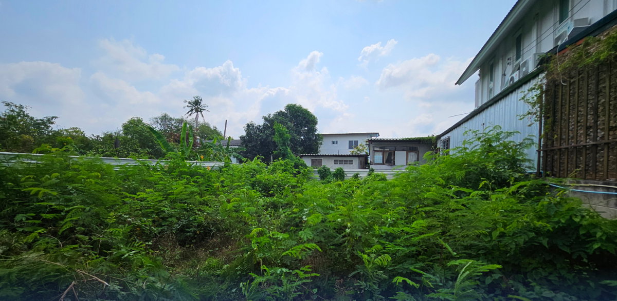 รูป ขายที่ดิน สุขุมวิท 101 BTS ปุณณวิถี 159 ตร.วา - รูปที่ 4/8