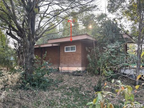 picture HOME 1200 Sq.w. Ban Mi Lopburi for 4.9M - 15/18