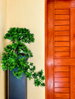 listing thumbnail image 35