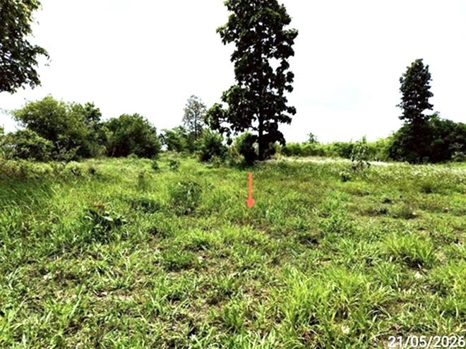 picture LAND 1078 Sq.w. Na Chuak Maha Sarakham for 755,000 - 5/24
