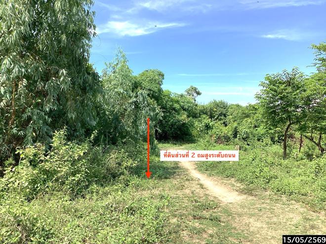 รูป ที่ดินว่างเปล่า 2636 ตร.วา เมืองสกลนคร สกลนคร 2.4M - รูปที่ 6/20