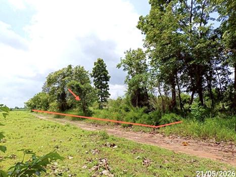 picture LAND 1078 Sq.w. Na Chuak Maha Sarakham for 755,000 - 21/24
