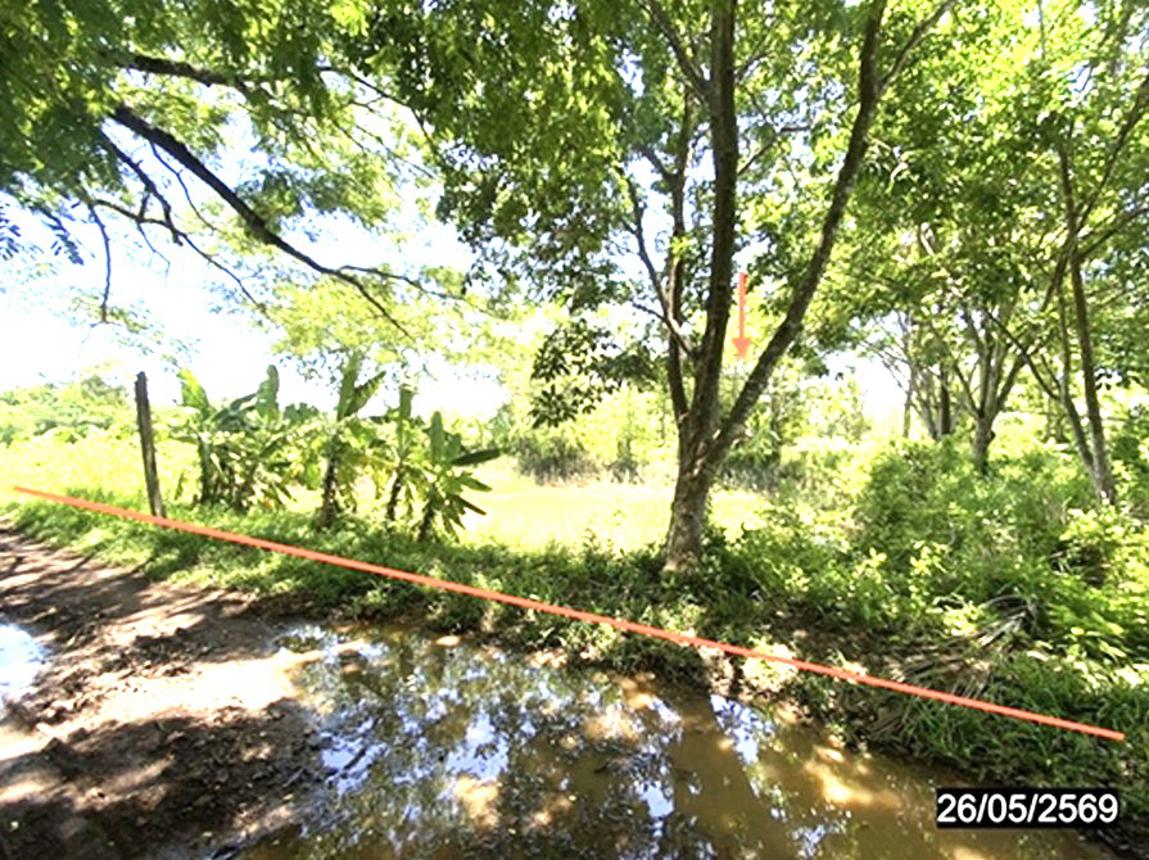 picture LAND 2883.7 Sq.w. Muang Nong Khai Nongkai for 1.7M - 13/22