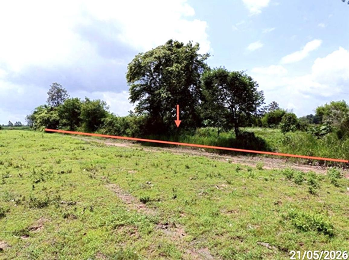 picture LAND 1078 Sq.w. Na Chuak Maha Sarakham for 755,000 - 13/24