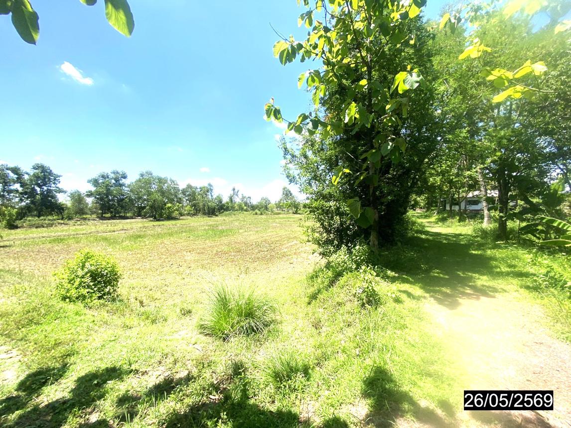 picture LAND 2883.7 Sq.w. Muang Nong Khai Nongkai for 1.7M - 16/22