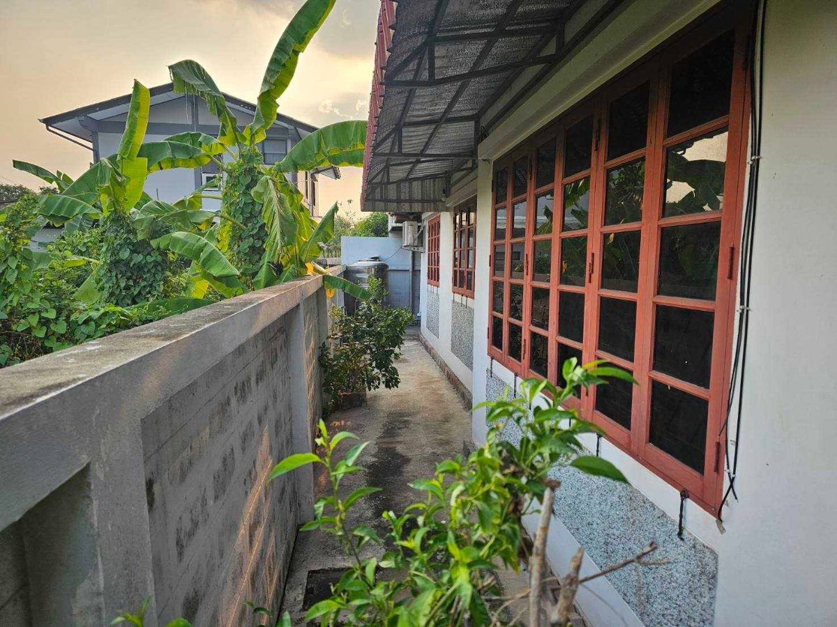 รูป บ้านให้เช่าทำเลดี ตลิ่งชัน ฉิมพลี 28 ใกล้สถานีรถไฟฟ้าสายสีแดงสถานีตลิ่งชัน ใกล้สายใต้ใหม่ - รูปที่ 17/17