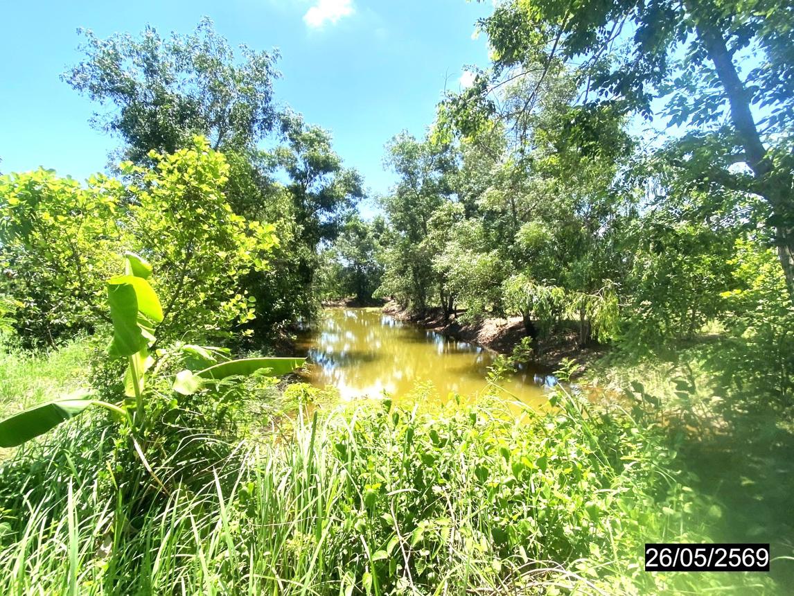 picture LAND 2883.7 Sq.w. Muang Nong Khai Nongkai for 1.7M - 17/22
