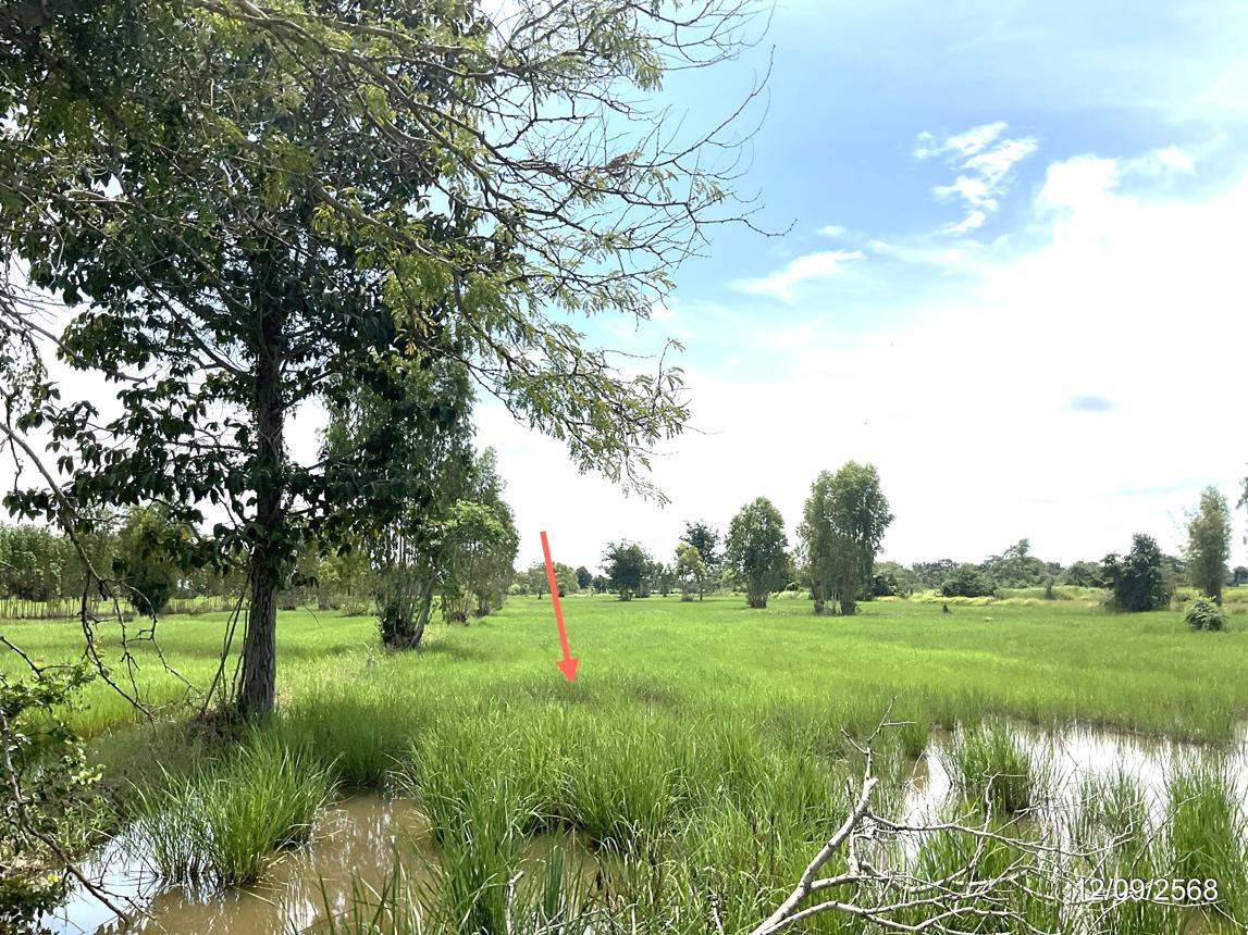 รูป ที่ดินว่างเปล่า 17142 ตร.วา วัฒนานคร สระแก้ว 9.8M - รูปที่ 32/38