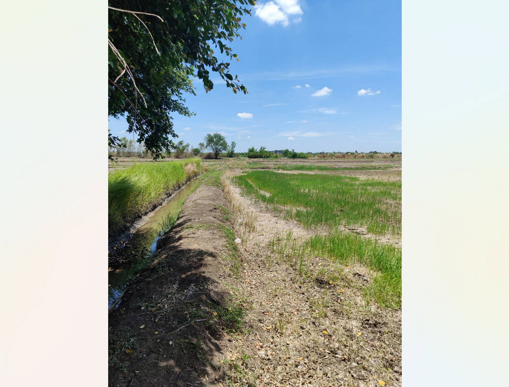 picture Call : 063-595-3995 Land for sale Khlong Sam, Khlong Luang, Pathum Thani Near Wat Phra Dhammakaya - 6/12