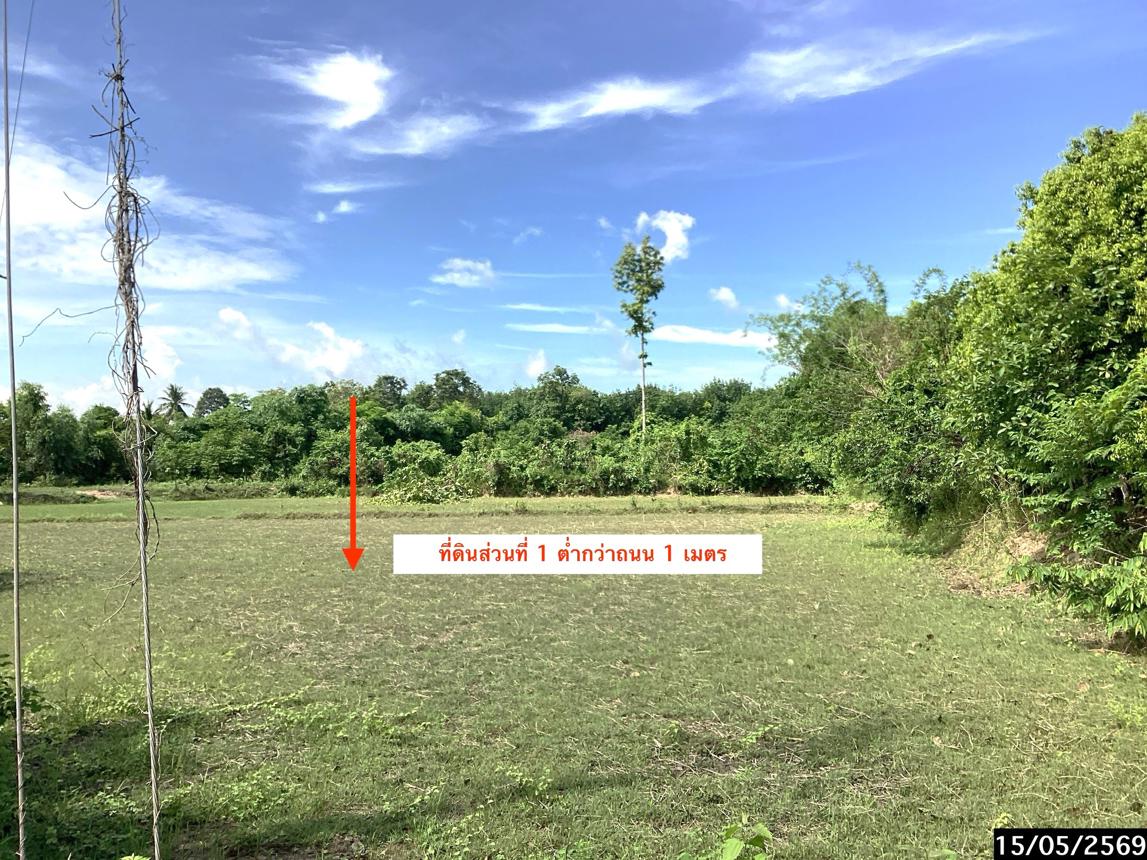 รูป ที่ดินว่างเปล่า 2636 ตร.วา เมืองสกลนคร สกลนคร 2.4M - รูปที่ 12/20