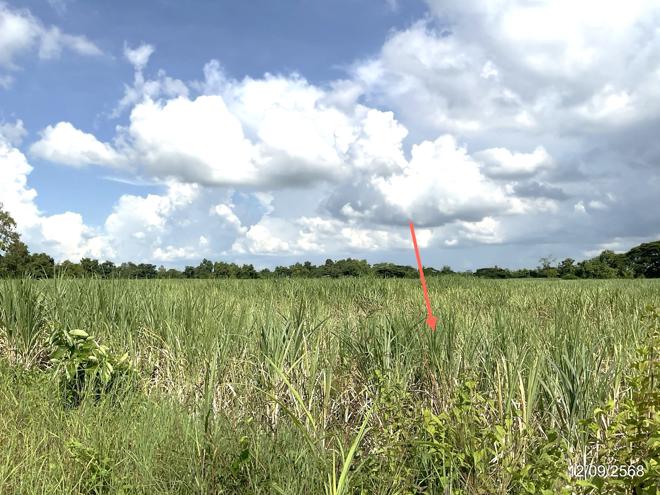 รูป ที่ดินว่างเปล่า 17142 ตร.วา วัฒนานคร สระแก้ว 9.8M - รูปที่ 8/38