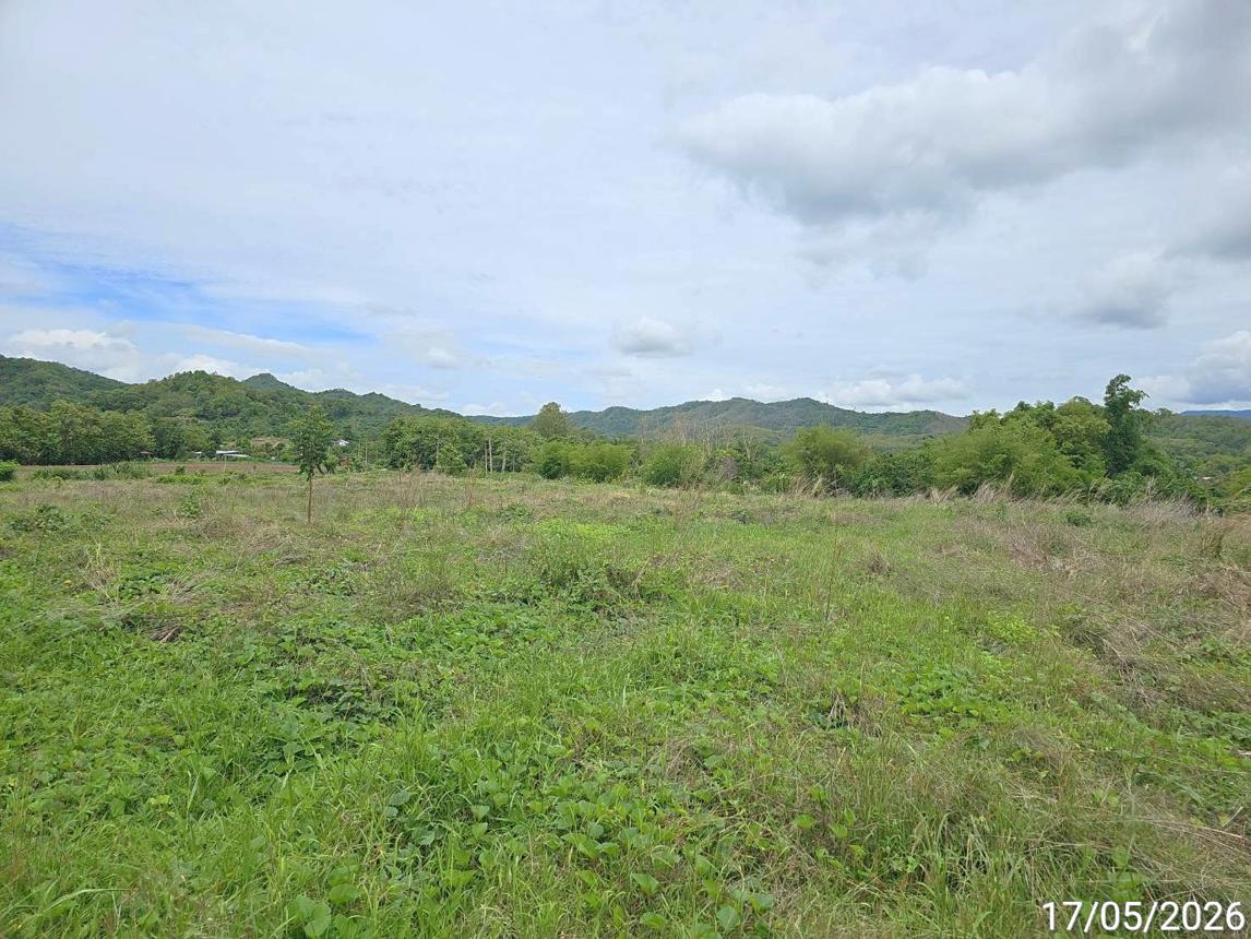 รูป ที่ดินว่างเปล่า 1888.3 ตร.วา เมืองเพชรบูรณ์ เพชรบูรณ์ 1.7M - รูปที่ 15/22