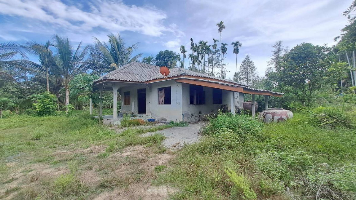 รูป ขายที่ดิน/สวน (พร้อมบ้าน) ขนาด 34-1-76.9 ไร่ ถนนสายเกาะขวัญ-วัดประดิษฐาราม (นศ 2038) ทุ่งใหญ่ จ.นครศรีธรรมราช - รูปที่ 10/10