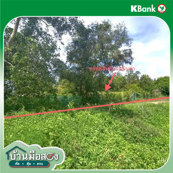 รูป ที่ดินว่างเปล่า 291.3 ตร.วา สทิงพระ สงขลา 1.2M - รูปที่ 22/24
