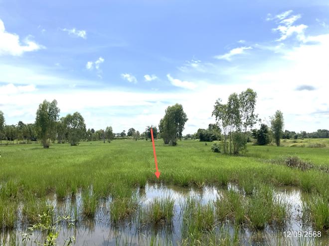 รูป ที่ดินว่างเปล่า 17142 ตร.วา วัฒนานคร สระแก้ว 9.8M - รูปที่ 13/38