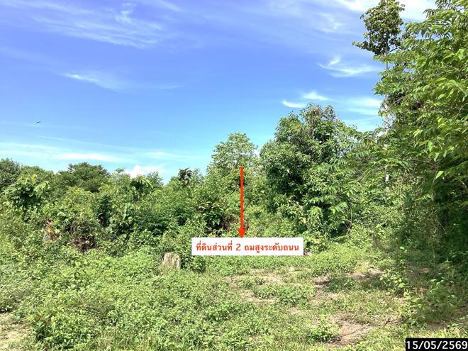 รูป ที่ดินว่างเปล่า 2636 ตร.วา เมืองสกลนคร สกลนคร 2.4M - รูปที่ 8/20