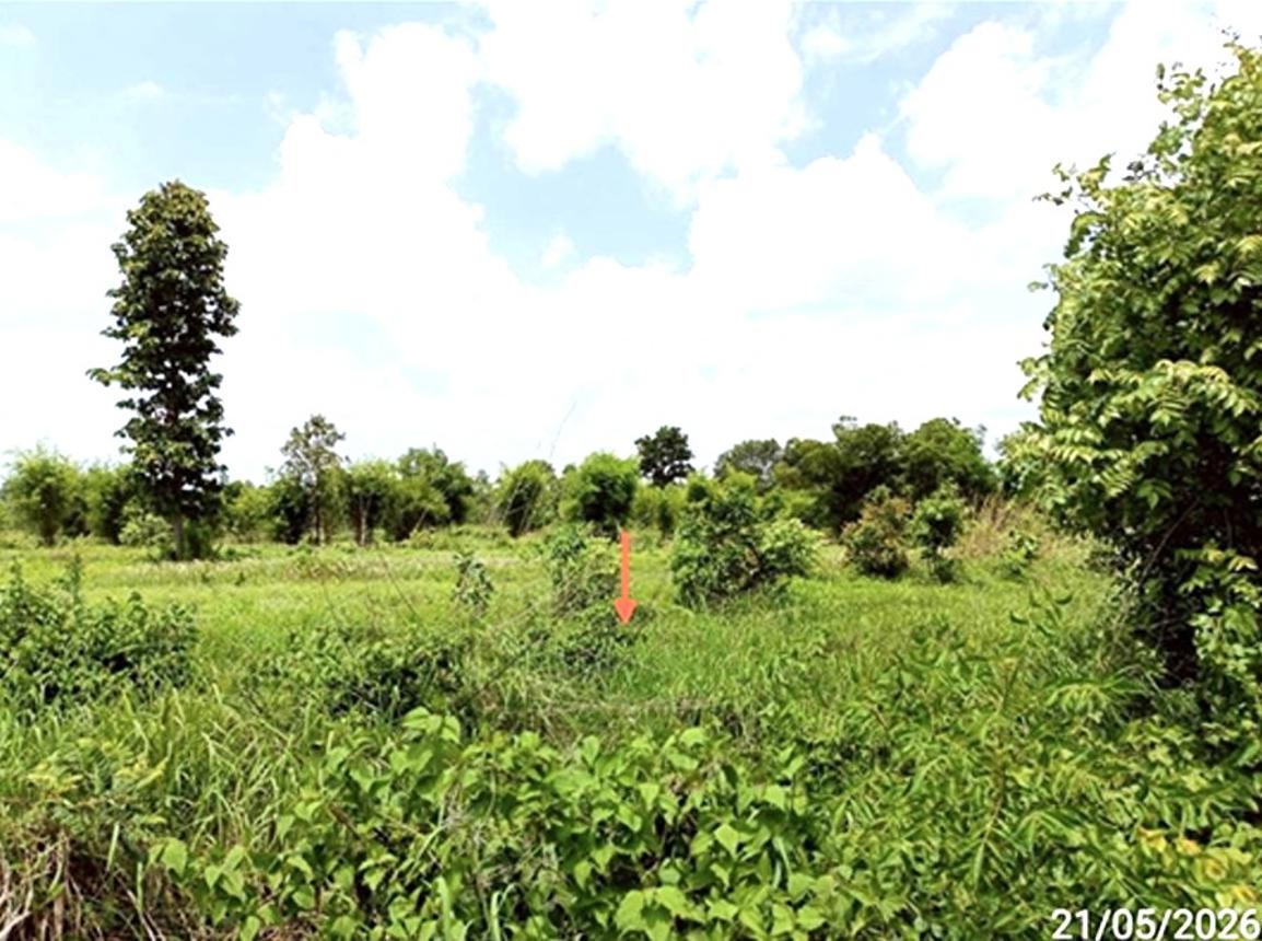 picture LAND 1078 Sq.w. Na Chuak Maha Sarakham for 755,000 - 16/24