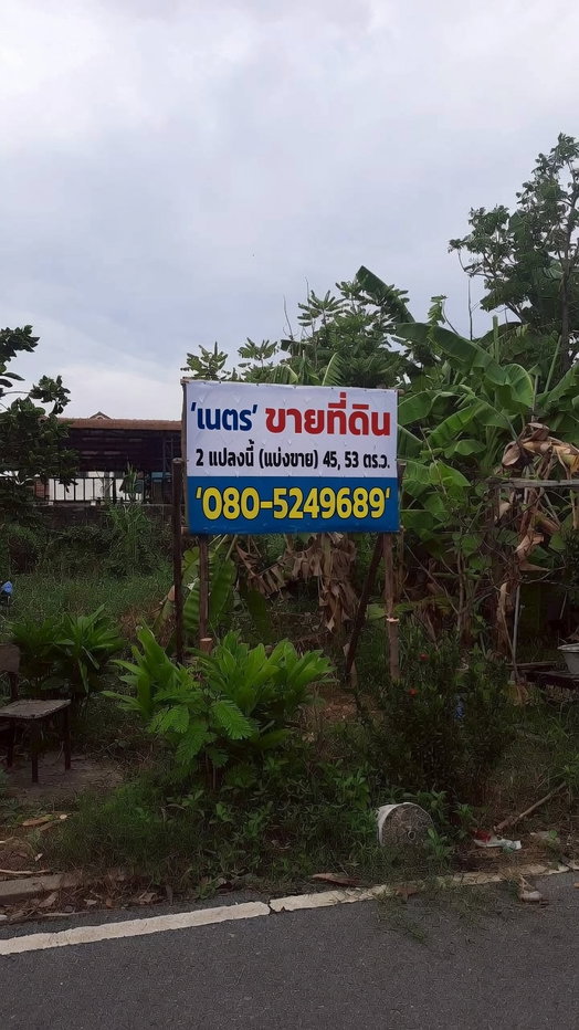 รูป ขายที่ดินเปล่า 45 ตร.วา โครงการบ้านปีกไม้ บางใหญ่ นนทบุรี ทำเลดี ใกล้ MRT คลองบางไผ่ - รูปที่ 3/9
