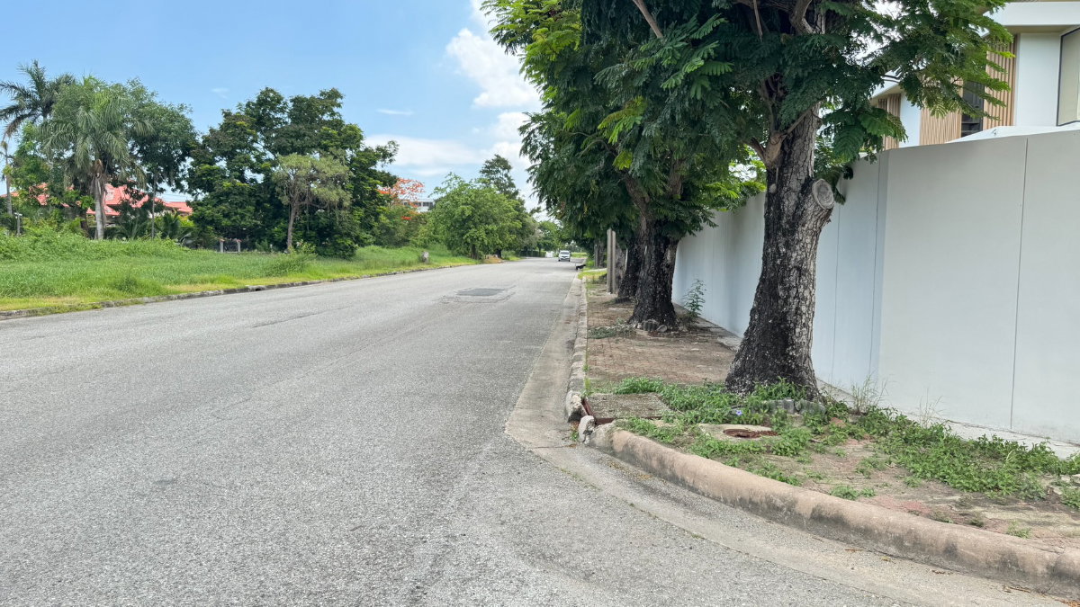 รูป ที่ดินเลควูด บางนา แปลงสวย ได้เหลี่ยม เข้าซอยนิดเดี่ยว - รูปที่ 4/8