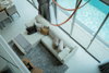 listing thumbnail image 50