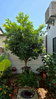 listing thumbnail image 2