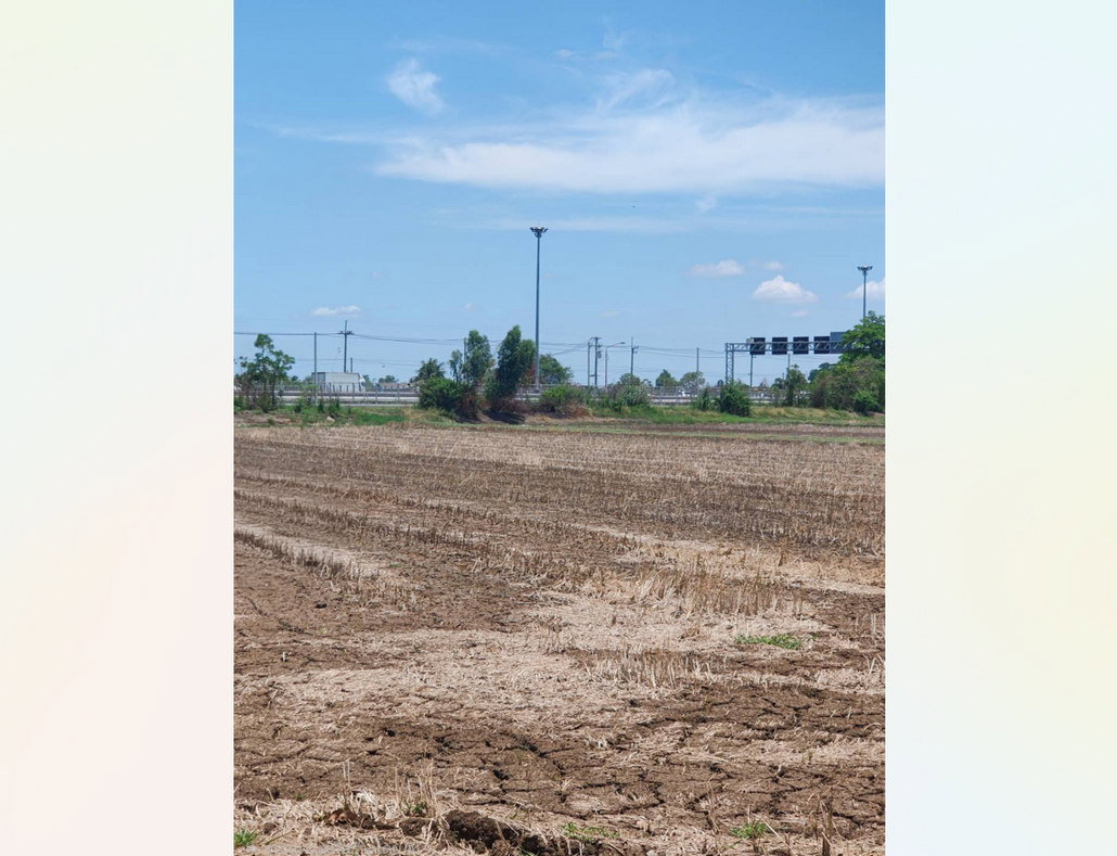 picture Call : 063-595-3995 Land for sale Khlong Sam, Khlong Luang, Pathum Thani Near Wat Phra Dhammakaya - 4/12