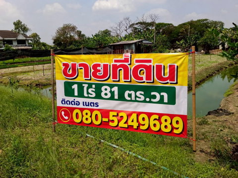 ขายที่ดินบางใหญ่ นนทบุรี 1 ไร่ 81 ตร.ว. หน้ากว้าง ติดถนนคอนกรีต 12 เมตร ใกล้ Central Westgate และมอเตอร์เวย์ M81 เหมาะสร้างบ้าน/โกดัง/SME
