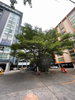 listing thumbnail image 13