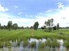 listing thumbnail image 29