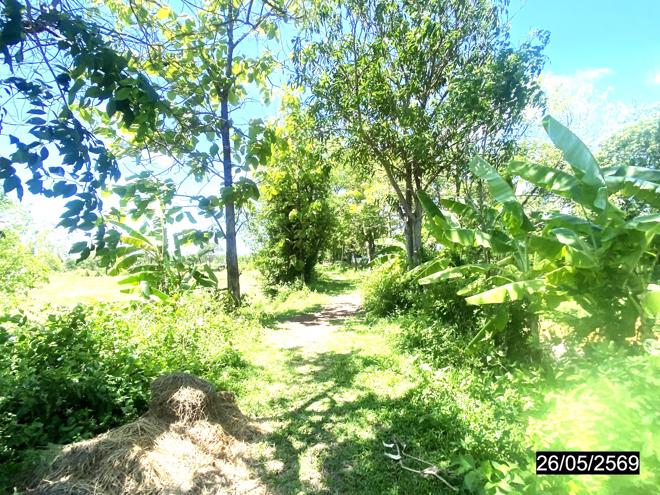 picture LAND 2883.7 Sq.w. Muang Nong Khai Nongkai for 1.7M - 5/22
