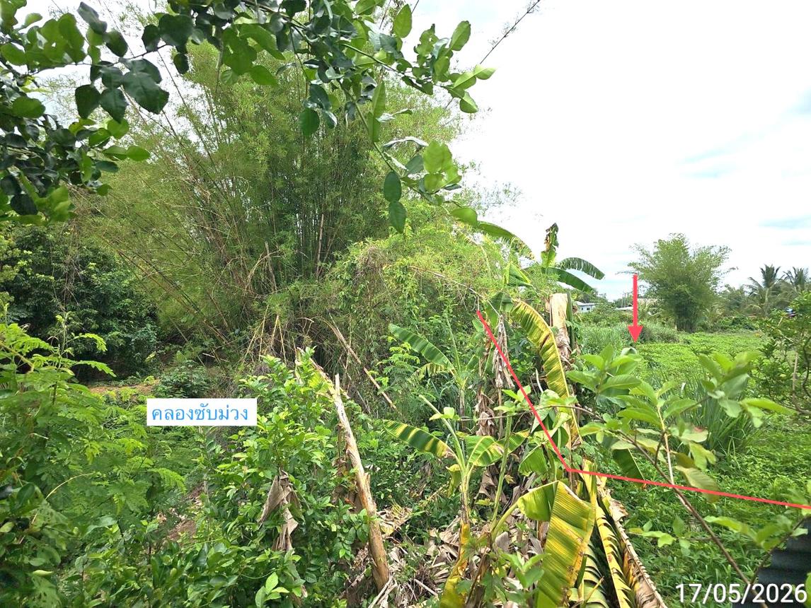 รูป ที่ดินว่างเปล่า 1888.3 ตร.วา เมืองเพชรบูรณ์ เพชรบูรณ์ 1.7M - รูปที่ 18/22