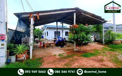 บ้านเดี่ยว หนองปรือ ชลบุรี : บ้านเดี่ยว 100 ตารางวา ซ.พระประภานิมิตร 28 หนองปรือ ชลบุรี ถูกมาก