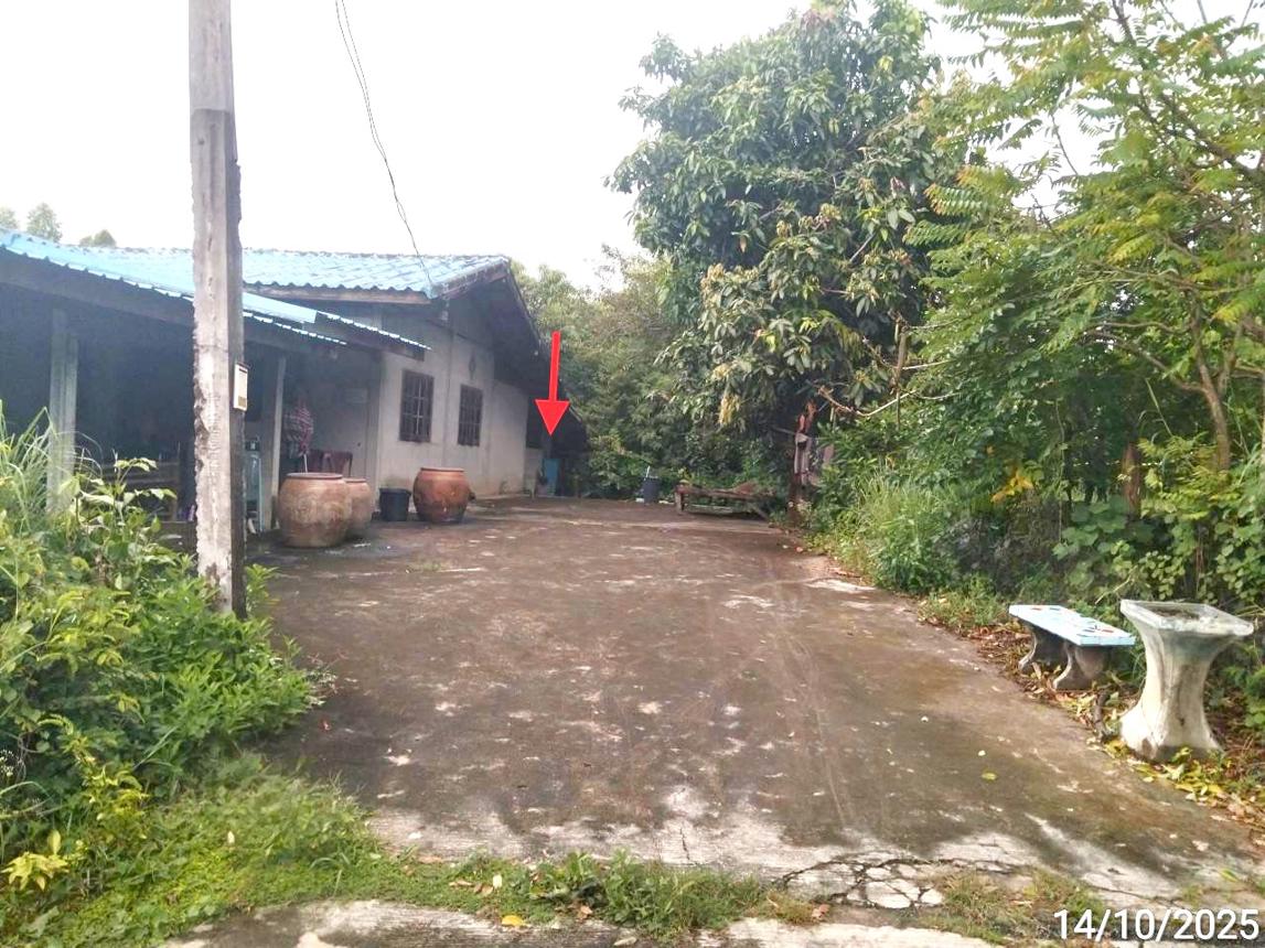 รูป บ้านเดี่ยว 229 ตร.วา สตึก บุรีรัมย์ 915,000 - รูปที่ 6/12