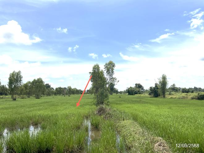 รูป ที่ดินว่างเปล่า 17142 ตร.วา วัฒนานคร สระแก้ว 9.8M - รูปที่ 14/38