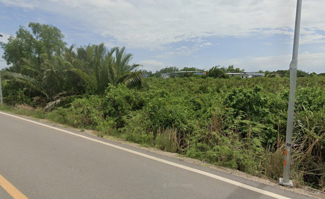 รูป ขาย ที่ดิน จ.สมุทรปราการ อ.พระสมุทรเจดีย์ 12 ไร่ 1 งาน 99 ตรว - รูปที่ 3/4