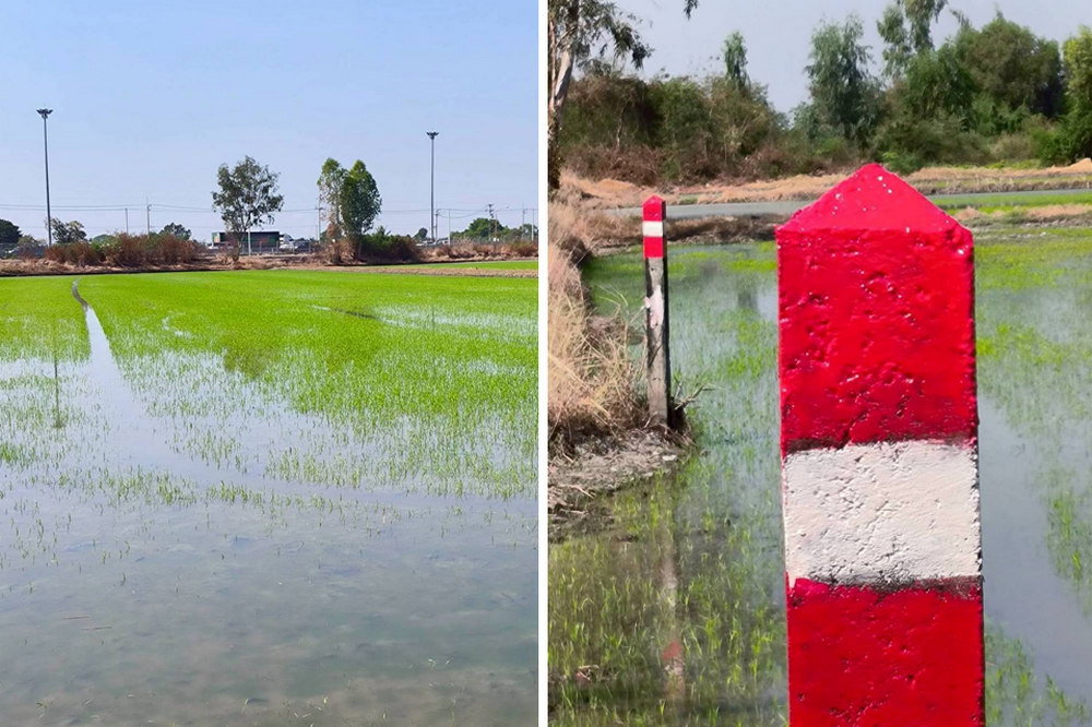 picture Call : 063-595-3995 Land for sale Khlong Sam, Khlong Luang, Pathum Thani Near Wat Phra Dhammakaya - 9/12