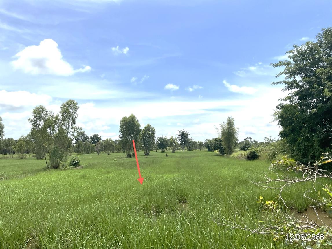 รูป ที่ดินว่างเปล่า 17142 ตร.วา วัฒนานคร สระแก้ว 9.8M - รูปที่ 33/38