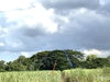 listing thumbnail image 26