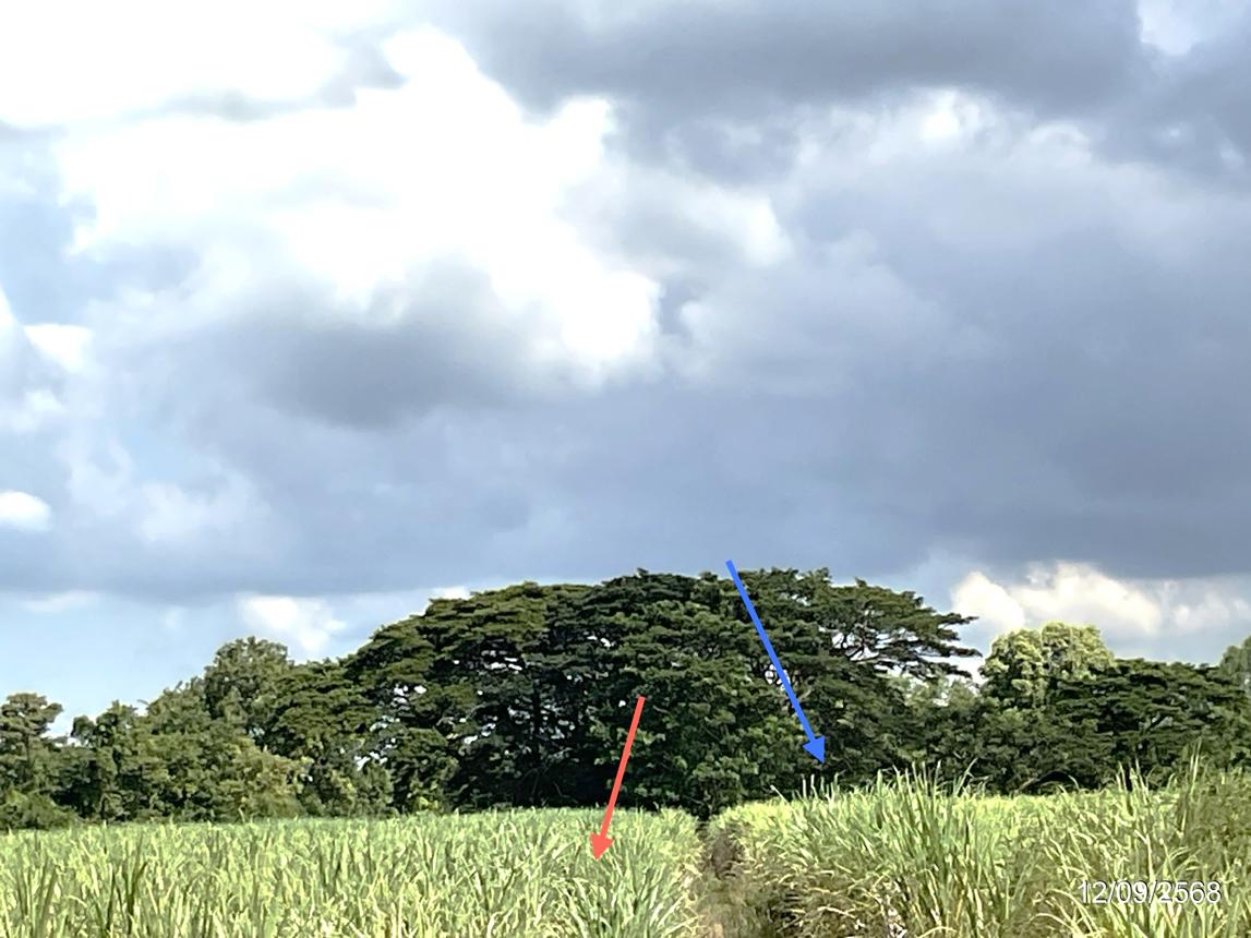 รูป ที่ดินว่างเปล่า 17142 ตร.วา วัฒนานคร สระแก้ว 9.8M - รูปที่ 27/38
