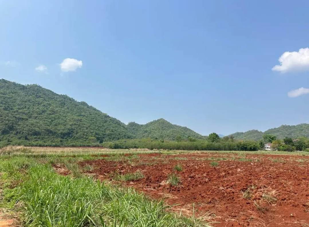 รูป ขายที่ดินเขาวง หนองน้ำแดง เขาใหญ่ ปากช่อง 1.5ไร่ วิวเขาสวยมาก ถนนลาดยางสาธารณะ เดินทางสะดวก ใกล้ธนะรัชต์ มอเตอร์เวย์M6 ที่สูง ไม่เปลี่ยว บ้านตากอากาศ - รูปที่ 5/5