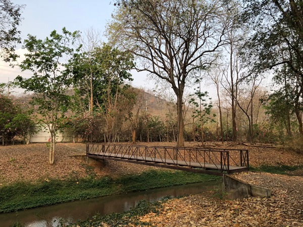 รูป 🌳 Rare Property! ขายอาณาจักรสวนป่าธรรมชาติ พร้อมลำธารกลางแปลง ต้นไม้ใหญ่ทั้งสวน วิวภูเขาด้านหลัง ติดถนนหลวง บนพื้นที่กว่า 16 ไร่ จ.กาญจนบุรี 🌿 - รูปที่ 10/11