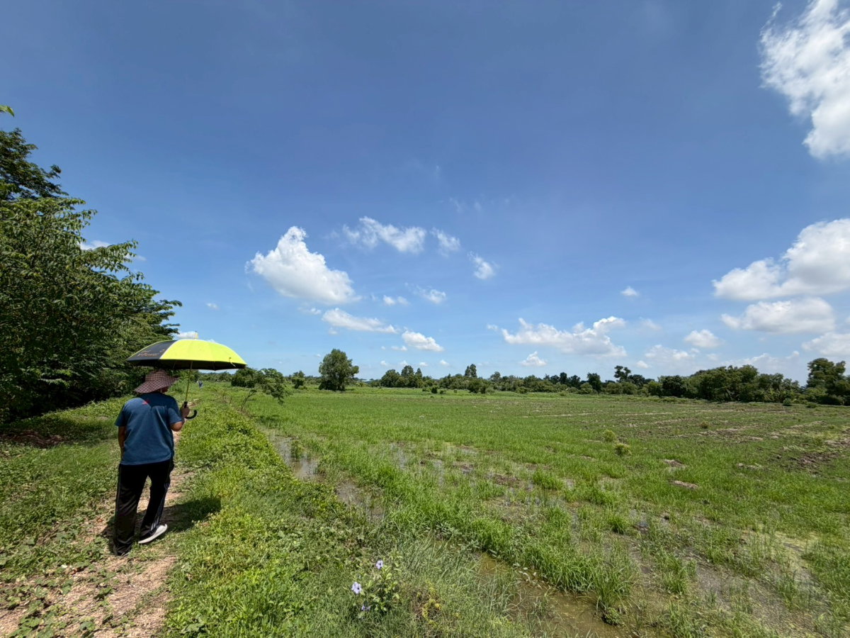 รูป ขายที่ดินติดถนน 4 เลน🚗 28 ไร่ นครนายก  หน้ากว้าง 93 เมตร ลึก 500 เมตร - รูปที่ 3/4